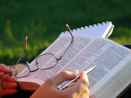 Vuoi imparare a studiare la Bibbia da te?