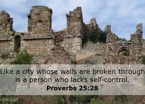 L’autocontrollo, Proverbi 25:28 e Galati 5:22-23
