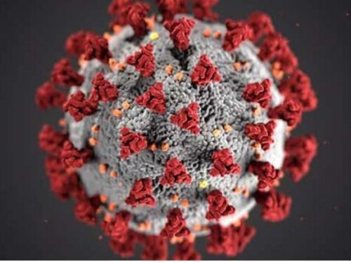Pandemia Coronavirus: siamo negli ultimi giorni…