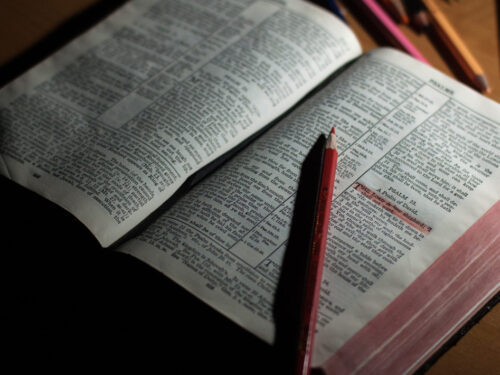 Przyjemność i zysk ze studiowania Biblii / The Pleasure and Profit of Bible Study